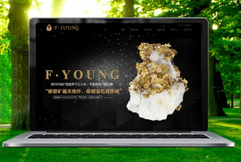 ƽ��ɽ�������ﱦʯ